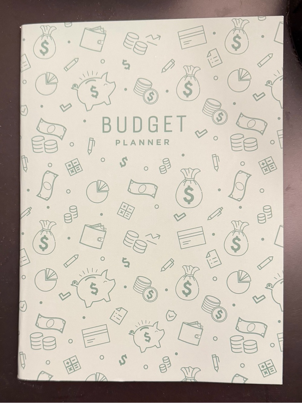 Budget Planner Notebook — White with Mint Green Accents